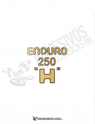Adhesivo MONTESA Enduro 250 H